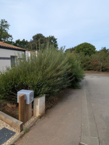 Photo de galerie - Avant 