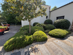 Photo de galerie - Jardinier