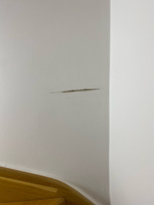Photo de galerie - Peinture - Tapisserie