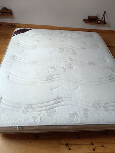 Photo de galerie - Après nettoyage 