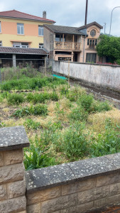 Photo de galerie - Jardinier