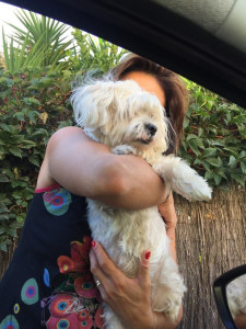 Photo de galerie - Bien à la maison
