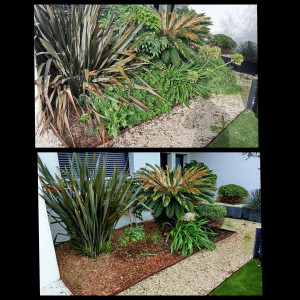 Photo de galerie - Avant/après.