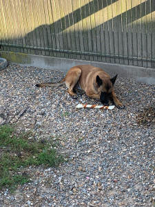 Photo de galerie - Jolie Peppa