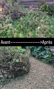 Photo de galerie - Avant après ! 