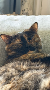 Photo de galerie - Garde d’animaux sur Nice et alentours (sérieux, présence réelle & suivi photo)