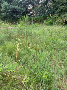 Photo de galerie - Jardinier