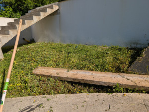 Photo de galerie - Tonte de pelouse - Débroussaillage