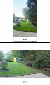 Photo de galerie - Avant et après tonte