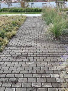 Photo de galerie - Allée en pavé engazonné 
