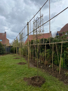 Photo de galerie - Paysagiste - Aménagement du jardin