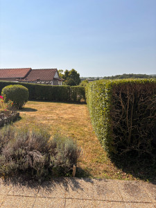 Photo de galerie - Taille de haie , mise en forme petit arbuste en rond 