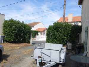 Photo de galerie - Taille de haies et d'arbustes