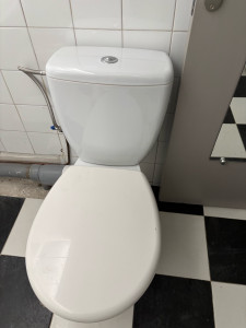 Photo de galerie - Remplacement Wc