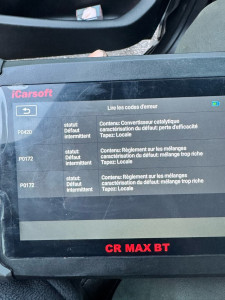 Photo de galerie - Diagnostic avec la valise 