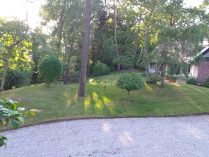 Photo de galerie - Entretien  jardin