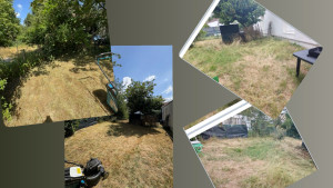 Photo de galerie - Nettoyage jardin 