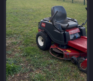 Photo de galerie - Tonte de pelouse - Débroussaillage