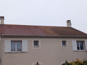 Photo de galerie - Traitement anti-mousse et application d'un hydrofuge.
la différence entre les deux toitures et flagrant