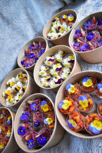 Photo de galerie - Verrines salées Maison