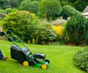 Photo de galerie - Services de jardinages