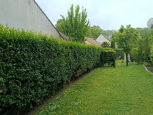 Photo de galerie - Avant 