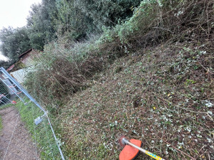 Photo de galerie - Tonte de pelouse - Débroussaillage