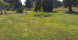 Photo de galerie - Tonte de pelouse