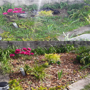 Photo de galerie - Petit exemple de la remise en état d'un par-terre paysager 