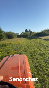 Photo de galerie - Fauchage 