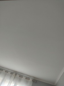 Photo de galerie - Peinture plafond