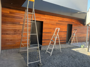 Photo de galerie - Mur d'arbres