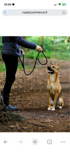 Photo de galerie - Je peux garder votre petite boule de poil chien chat …
