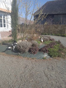 Photo de galerie - Paysagiste - Aménagement du jardin