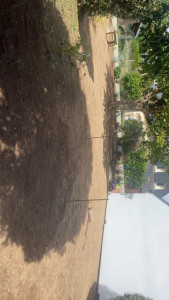 Photo de galerie - Semage pelouse