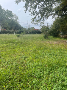 Photo de galerie - Avant