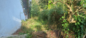 Photo de galerie - Avant entretien