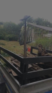 Photo de galerie - Enlèvement déchet bois + entretien 