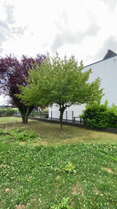 Photo de galerie - Taille d’un arbre au sécateur