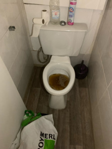 Photo de galerie - Furet  / Déboucheur de canalisation