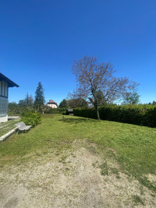 Photo de galerie - Tonte de pelouse - Débroussaillage