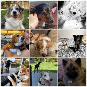 Photo de galerie - ✨