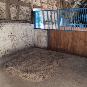 Photo de galerie - Pension chevaux