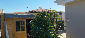 Photo de galerie - Plans de patate douce 