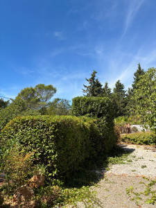 Photo de galerie - Taille de haies et d'arbustes