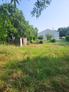Photo de galerie - Voici le terrain avant la tonte et débrouissaillage 