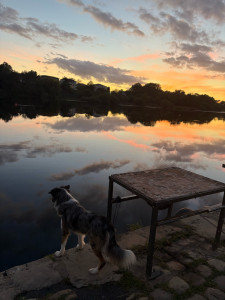 Photo de galerie - Sortie le long de la Dordogne 