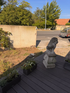 Photo de galerie - Elagage et coupe d'arbres