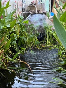Photo de galerie - Paysagiste - Aménagement du jardin