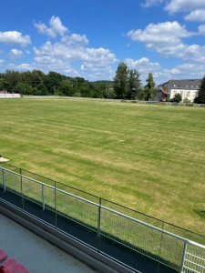 Photo de galerie - Je propose mes service d’espace vert, équiper de très bon matériel professionnels.t(tonte de gazon) (taille haie),(débroussailleuse), nettoyage au karcher ultra puissant les terrasse et plusieurs bricole que je peux vous faire 